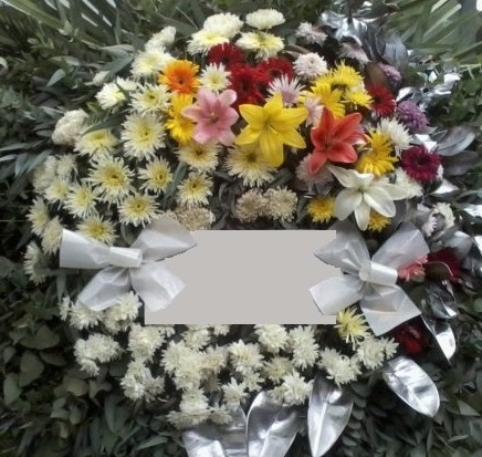 Envio y venta de flores ,rosas, plantas,arreglos florales ,regalos y desayunos a domicilio con delivery gratis en la Ciudad Autonoma de Buenos Aires y con costo de env�o en localidades del Gran Buenos Aires asi como delivery de flores y plantas a trav�s de florerias asociadas en todas las provincias de la Argentina, Buenos Aires, la Pampa, Tucuman, La Rioja, R�o Negro, Entre Rios, Corrientes, Misiones, Neuquen, Chubut, Tierra del Fuego, Santa Cruz, San Luis, Mendoza, Cordoba, Jujuy, Formosa, Santiago del Estero, Salta, Chaco, Catamarca ,San Juan, y ademas realizamos el delivery de flores ,coronas,palmas , plantas y regalos a todas las ciudades de Argentina, Mar del Plata, C�rdoba, Buenos Aires, con cargo en Santa Rosa, La Plata, Bella Vista, Neuquen, Pilar, Paran�, Posadas, Resistencia, Cipolleti y mas de 300 ciudades y localidades en todo el territorio de nuestro pa�s, asi como tambien tenemos la posibilidad de enviar flores a casi todo el mundo en cuestion de horas